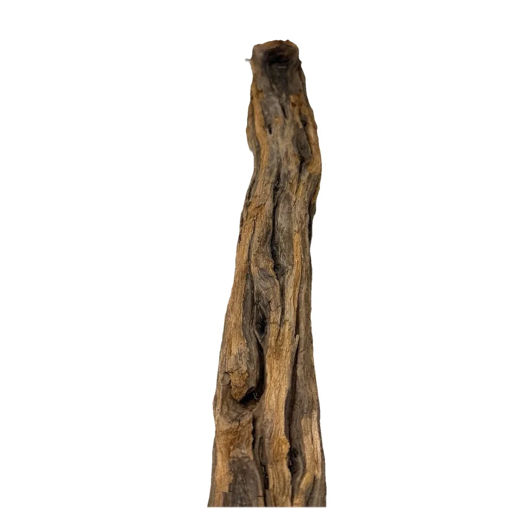 Tall California Driftwood Stick with Deep Grain & Natural Curves – Coastal Decor